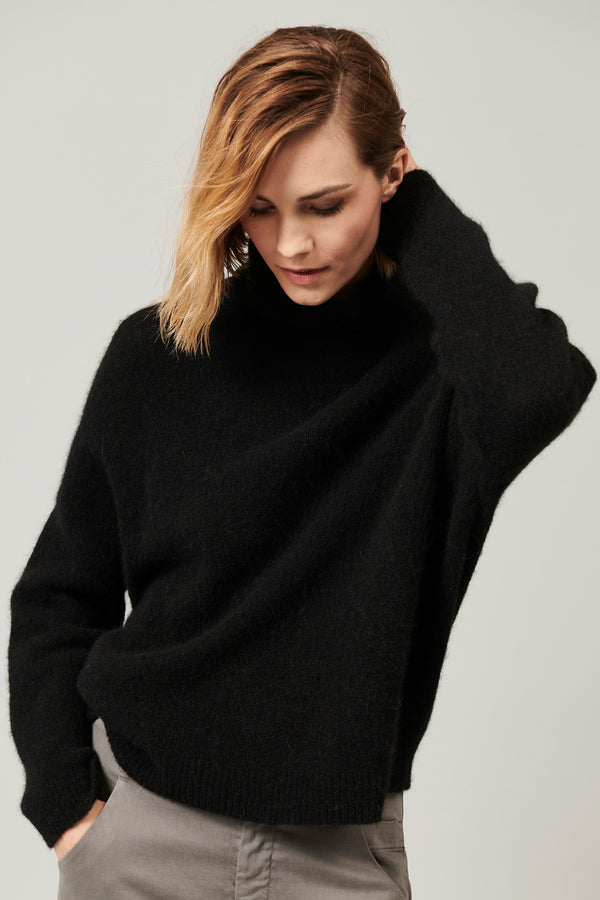 Turtleneck alpaca and wool knit | 1013.CFDTRY12472.10