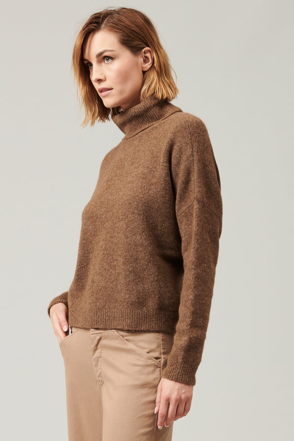 Pull col roulé en alpaga et laine | 1013.CFDTRY12472.06