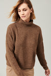 Pull col roulé en alpaga et laine | 1013.CFDTRY12472.06