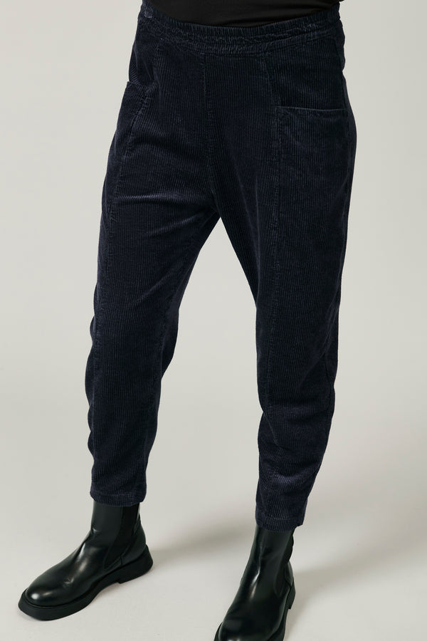 Comfort fit pant with elastic waist in viscose and stretch cotton corduroy | 1013.CFDTRYQ262.05